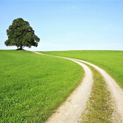 星空体育APP截图